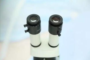 9月新疆，您不得不知的五大看點與保健器械建議